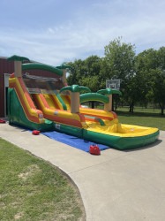 Dual Lane Tropical Slide