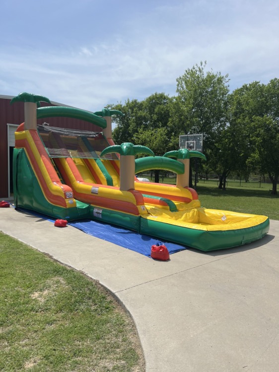 Dual Lane Tropical Slide