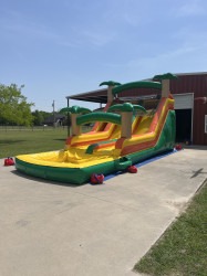 Dual20Lane20Tropical20220Slide20with20pool207 1744854080 Dual Lane Tropical Slide