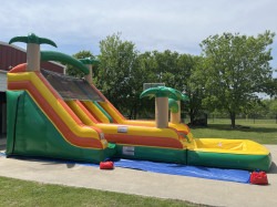Dual20Lane20Tropical20220Slide20with20pool208 1744854080 Dual Lane Tropical Slide