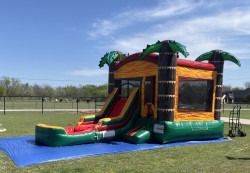 Palm20Paradise20Combo20with20Pool202 1744853064 Palm Paradise Combo with Pool
